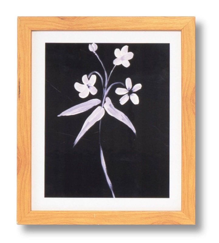 Cuadro Lily roble 25x30 cm