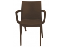 Silla tecnopolimero chocolate Palermo brazos